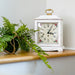 White vintage-style clock with floral design on a wooden surface next to a green plant.