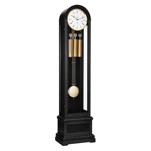 Black Grandfather clock with brass weights and pendulum on white background