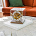 Livingroom coffee table with ornate glass clock with intricate brass gears