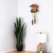 Decorative wooden cuckoo clock hanging on white wall above table lamp and tall potted plant 