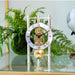 Silver and brass mechanical clock with metal face and intricate gears visible sitting on glass table in front of green plants