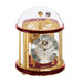 Brass plated Tellurium with sun and earth gears visible under glass dome and Red highlight rings circle the top and bottom.