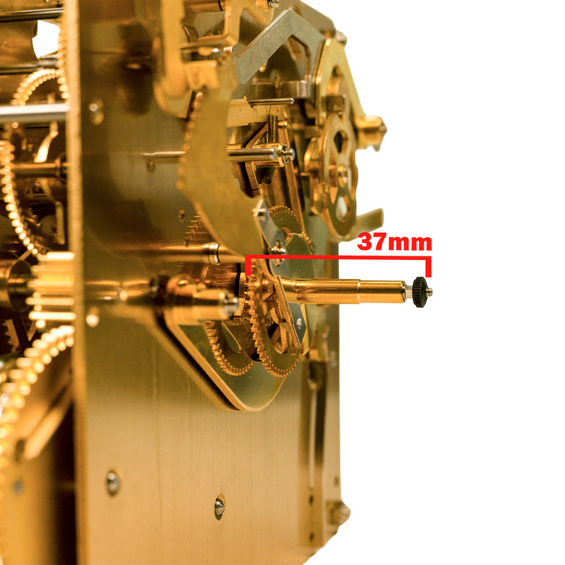 Close up of front post on brass clock movement with text saying '37mm' and measurement line on white background.